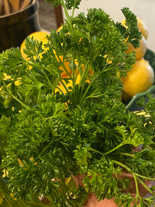 What Variety is the BEST Parsley for Juicing?