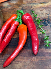 24 Hour Fast With Linda Kordich